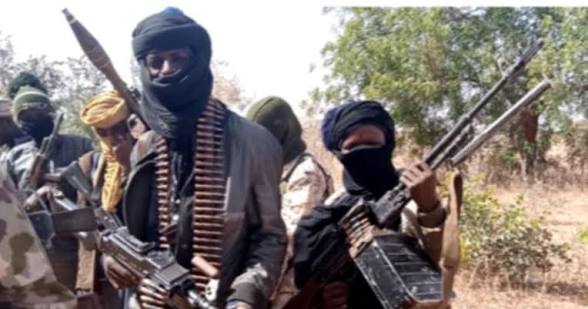 Suspected Bandits Invade Rivers Forests!