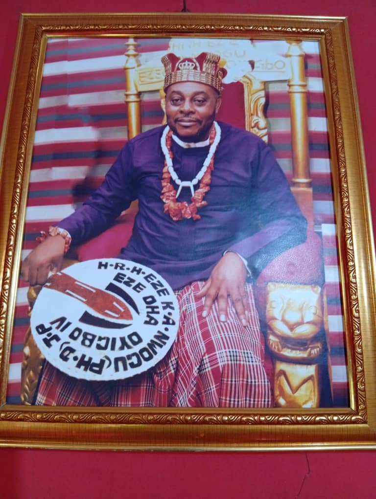 “We Don’t Want Palliatives, Get Us Proper Drainage System” – Eze Wogu